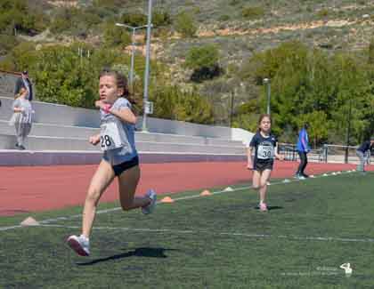 kids triathlon